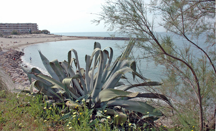 sete1 (12).jpg